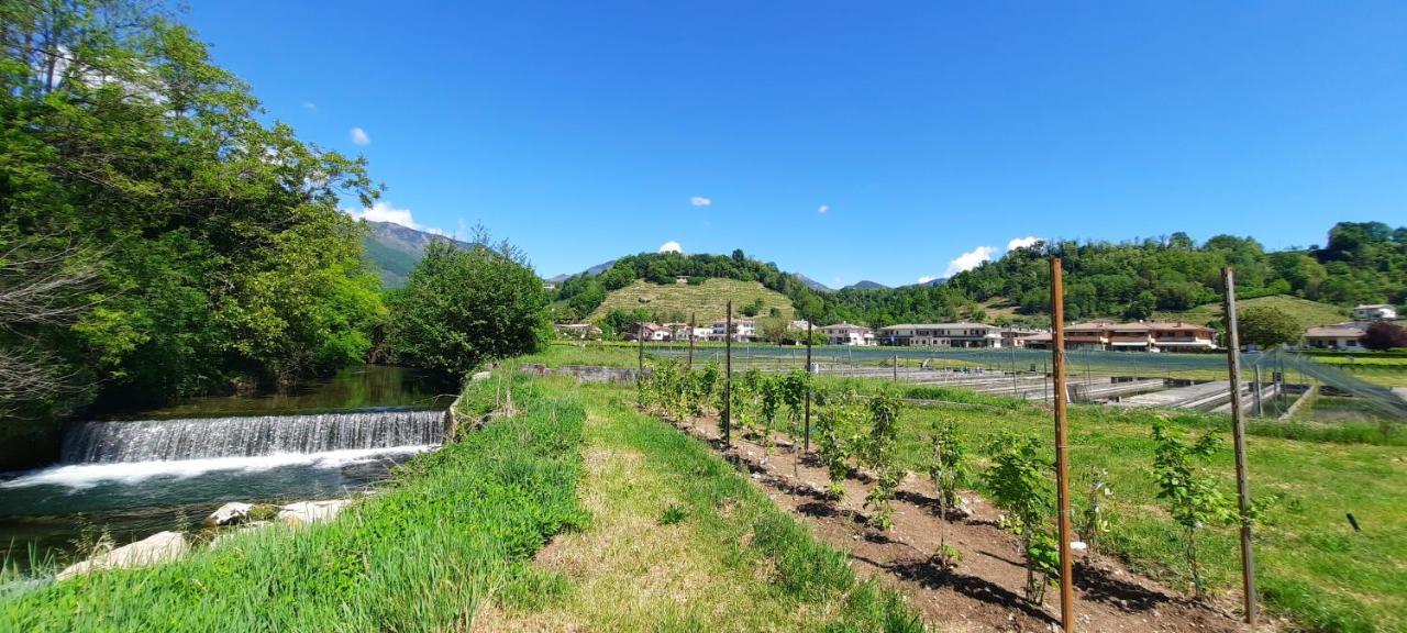Agriturismo La Bella 폴리나 외부 사진