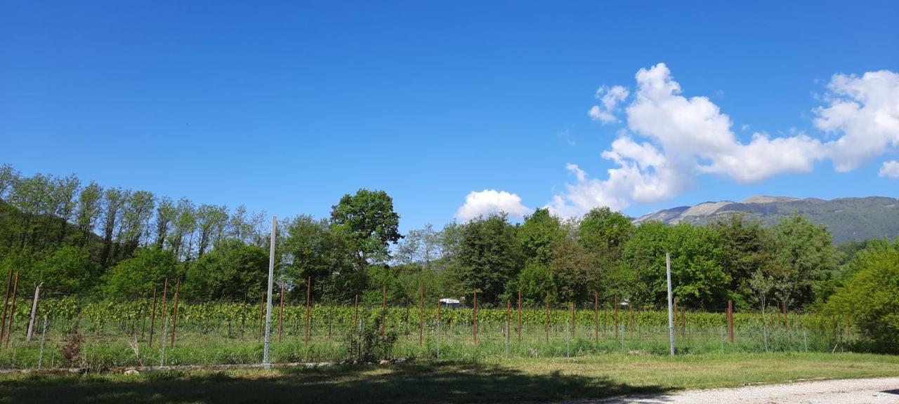 Agriturismo La Bella 폴리나 외부 사진